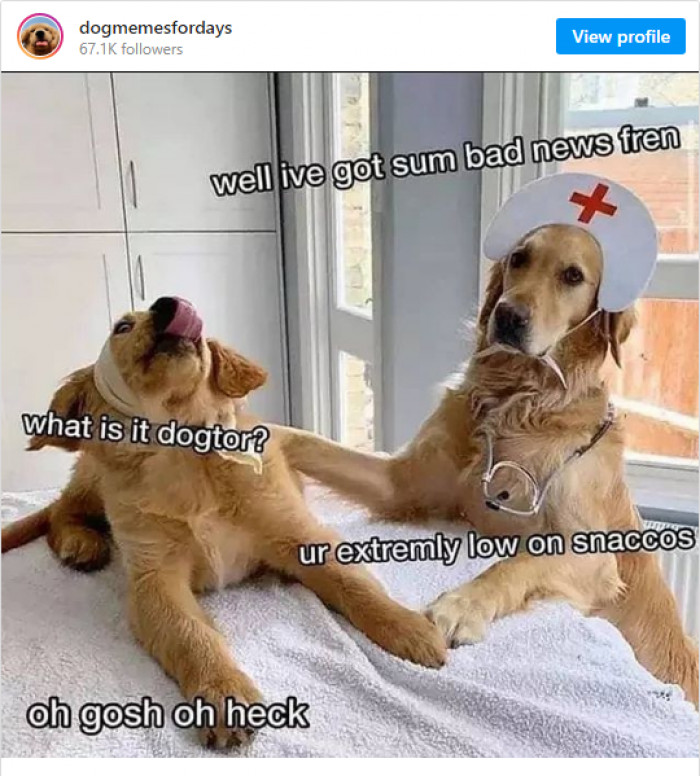 6. Hey nurse, get this dog some really good treats