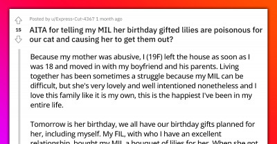 Lady Feels Guilty For Making Her MIL Get Rid Of Her Gifted Lilies That Were Poisonous To Their Cat