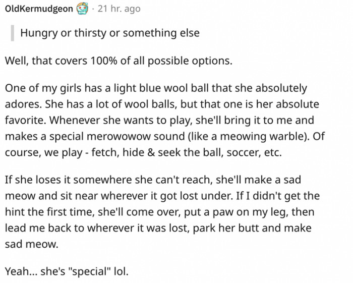 8. This cat owner has mastered the feline language