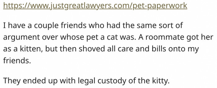 13. He can get legal custody of the dog if he involves a lawyer in the dispute.