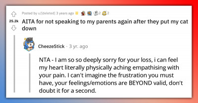 Redditor Decides Never To Speak To Parents Again After They Put Down The Cat Without Asking Them