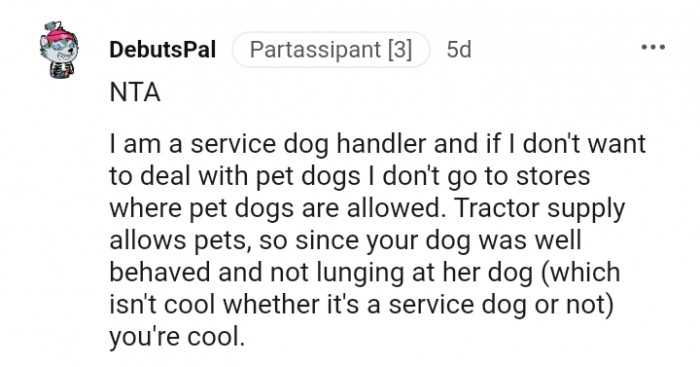 19. From a Service Dog Handler
