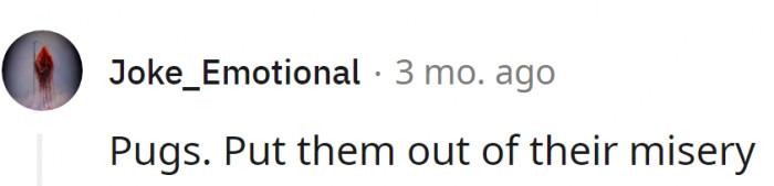 This is the first breed that usually comes to people's minds. And there is a reason for it...