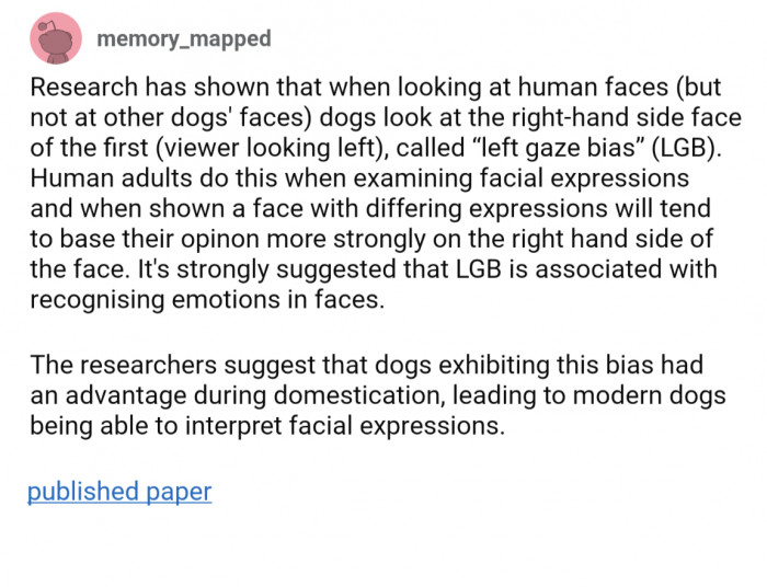 Maybe domestication led to dogs evolving "left gaze bias"