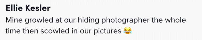 Mine growled at the photographer the whole time