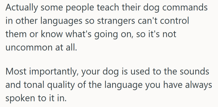 It’s not just a comfort thing; dogs recognize tone and rhythm, which makes her native language part of their bond.