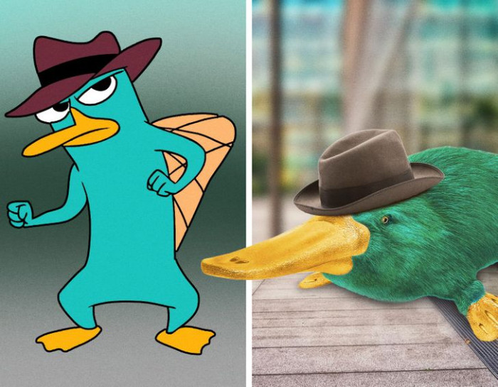 11. Ever wondered who platypus spies would look like in real life? Here's Perry the Platypus from Phineas and Ferb!