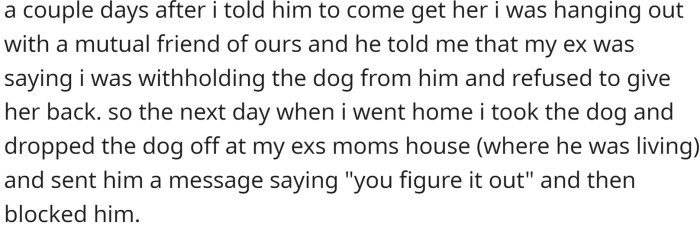 After failing to find a new home, OP dropped the dog off at her ex-boyfriend's mother's house and blocked him after sending a message telling him to figure it out.