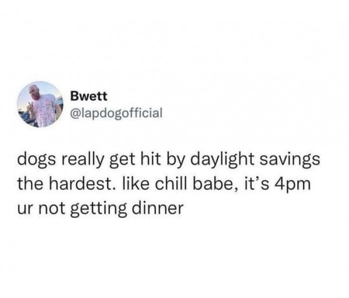 16. Dogs getting hit by daylight savings