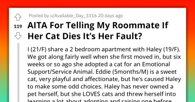 Redditor's Roommate Demands Dietary Changes for Her Cat's Safety; She Refuses to Comply