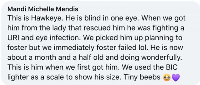 11. How we foster failed for this cat