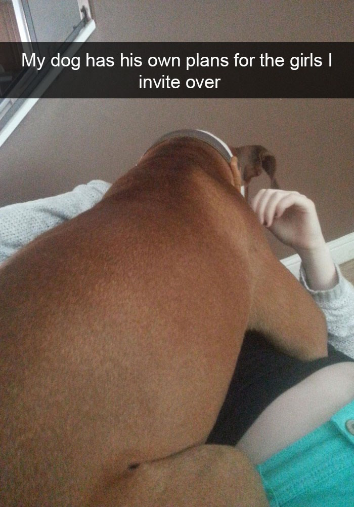 9. When your dog tries to steal all your friends right under your roof