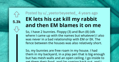 Redditor Left Distraught as Neighbor’s Cat Kills One of Their Pet Rabbits; Now the Boy’s Mom Is Requesting the Second Bunny as the Cat’s New Playmate