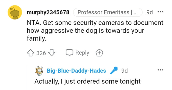 Getting Some Security Cameras for Documentation