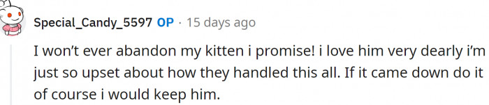 OP clarifies that she is not going to abandon the cat - she is just mad about the whole situation.
