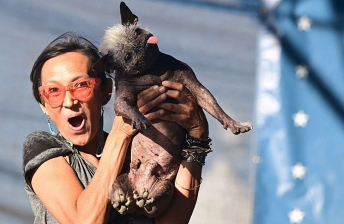 A 17-year-old rescue named Mr. Happy Face won the World’s Ugliest Dog competition