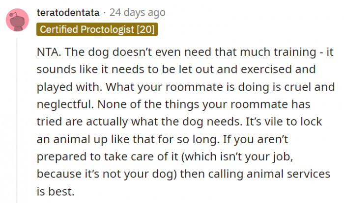 5. Keeping a dog locked up that long in a small cage is just bound to end up in disaster