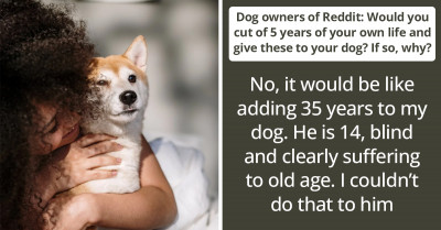 20+ Examples Where People Have Given Their Honest Opinions With Reasons To A Mind-Boggling Question About Dogs That Might Get You Thinking