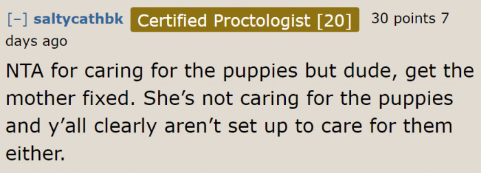 This family clearly isn't ready for the puppies. That's why spaying is the only solution.
