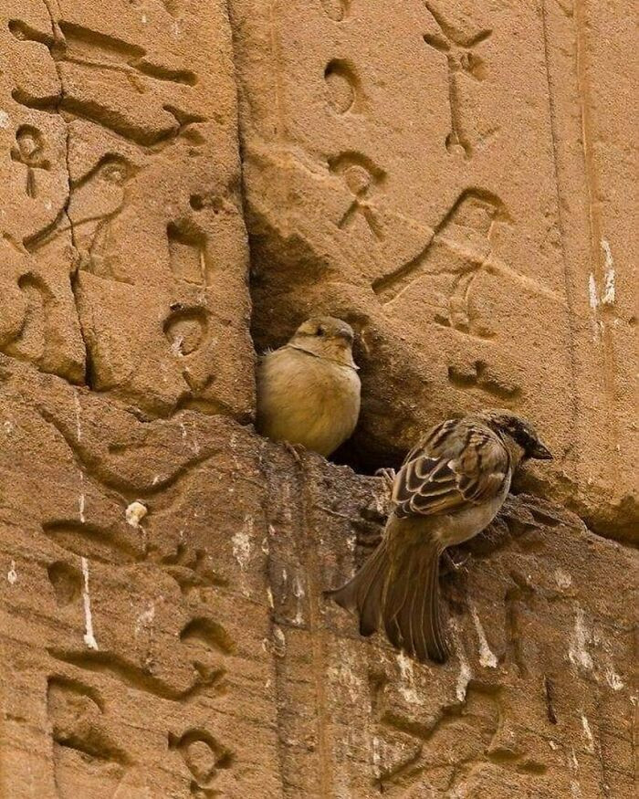 31. Making non-living things on the wall come to life