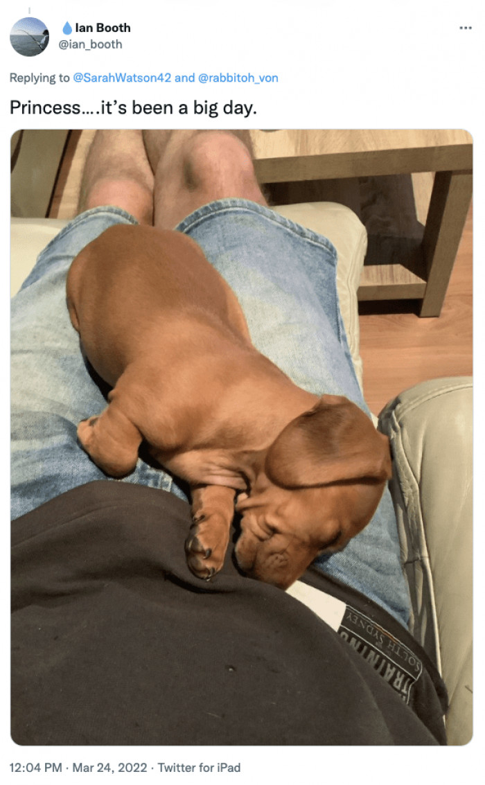 20. "So... tired... zzz..."