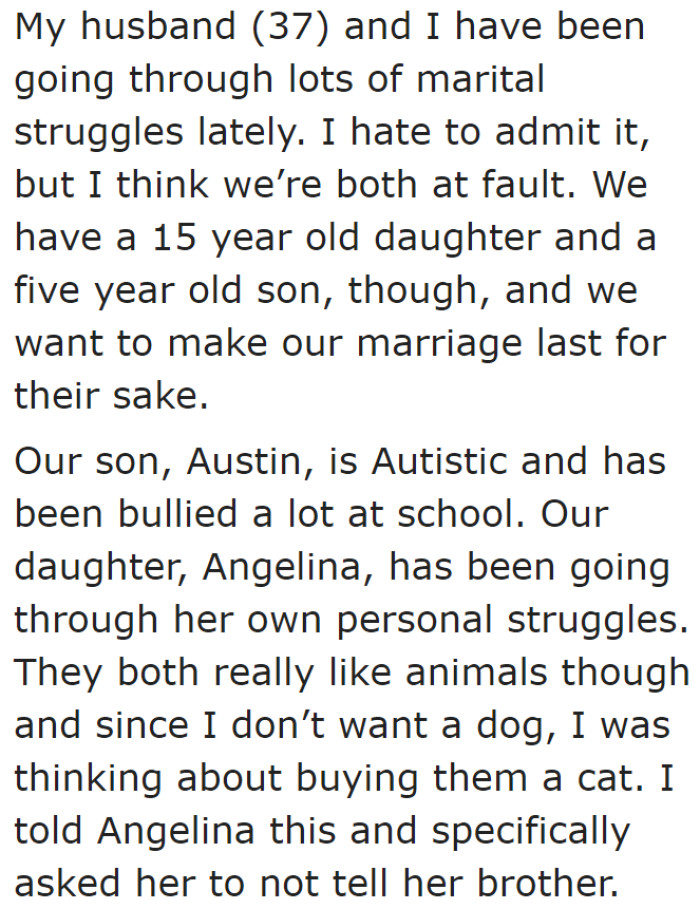 The OP and her husband are facing marital problems, yet she's still considering bringing a cat home for her kids.