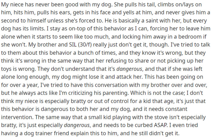 OP's niece mistreats her dog despite OP's attempts to stop her. OP's brother and sister-in-law don't grasp the seriousness.