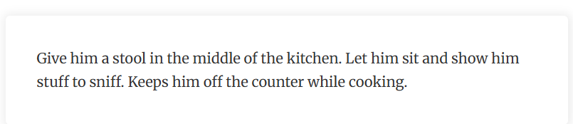 29. The sous-chef throne: curiosity contained, chaos avoided.