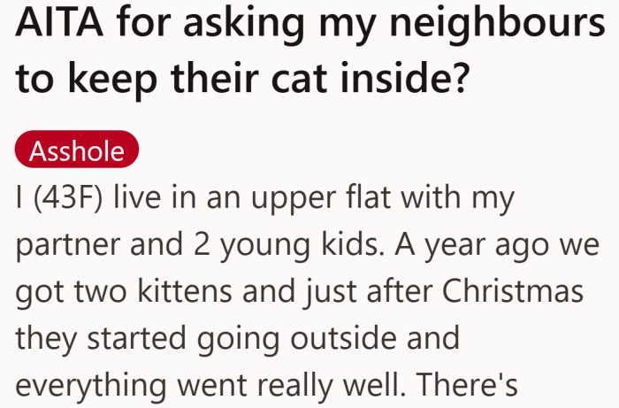 A cat owner introduces the calm routine her pets enjoyed before a new complication arrived.