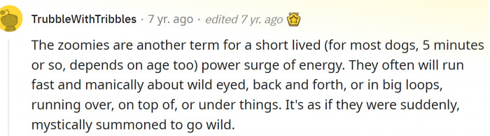 Mystically summoned to go wild...