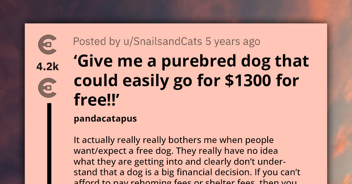 Redditor Shares Screenshot Of Someone Asking To Get Purebred Dog For