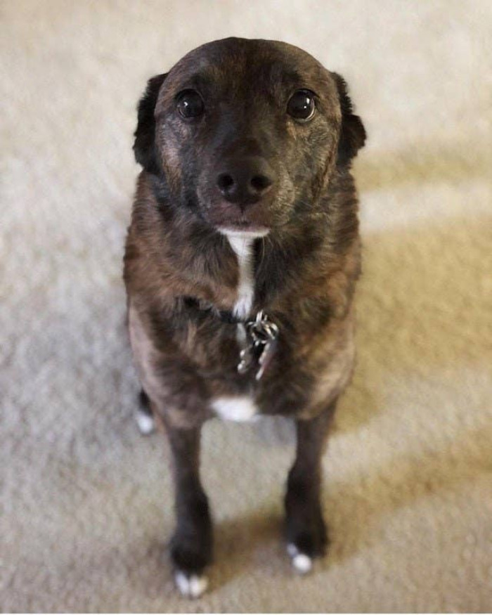 3. "He's almost eleven years old but doesn't look a day over two."