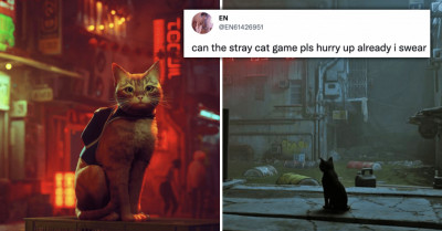 Cat Lovers Respond To Stray, A Game That Lets You Feel And Explore A Futuristic World Devoid Of Humans As A Cat