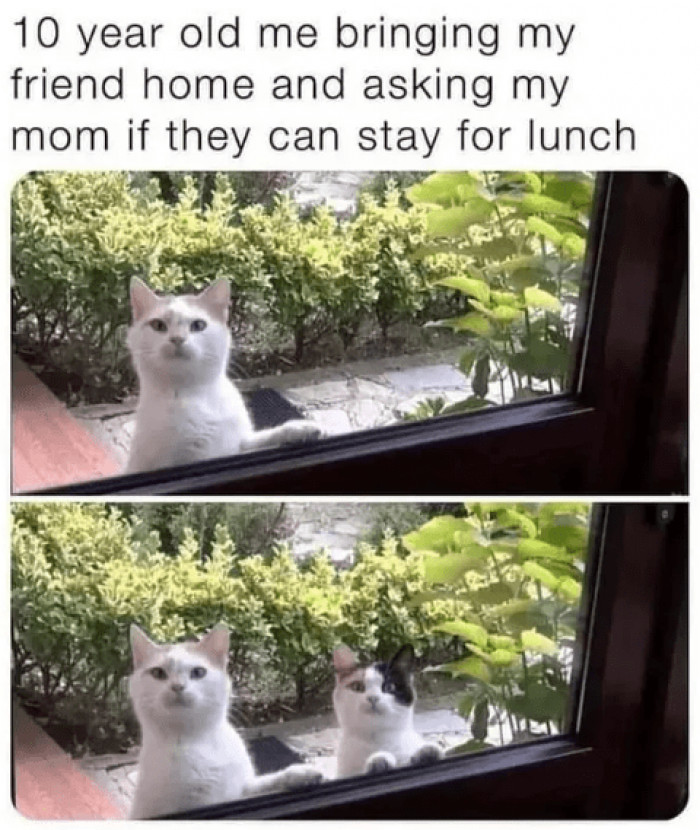 8. Hey momma, can my friend stay over for lunch?