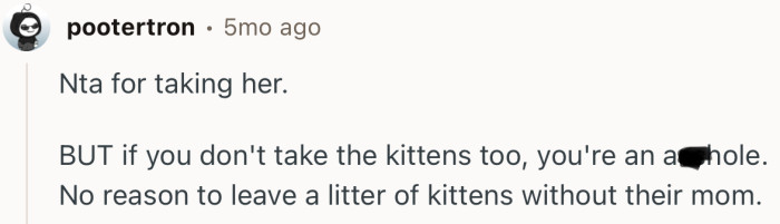 “Nta for taking her. BUT if you don't take the kittens too, you're an a**hole.”