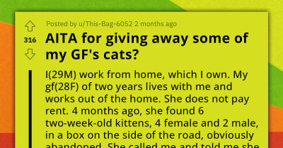 Allergic Man Gives Away Some of His Girlfriend's Cats; GF Gets Mad at Him for Not Letting Her Say Her Goodbyes