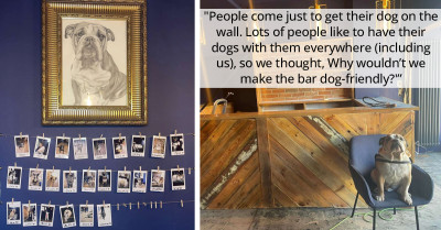 This Dog-Loving Bar Has A Wall Dedicated To Every Good Boy And Girl Who Visits
