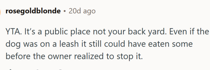 A public place, not OP's backyard.