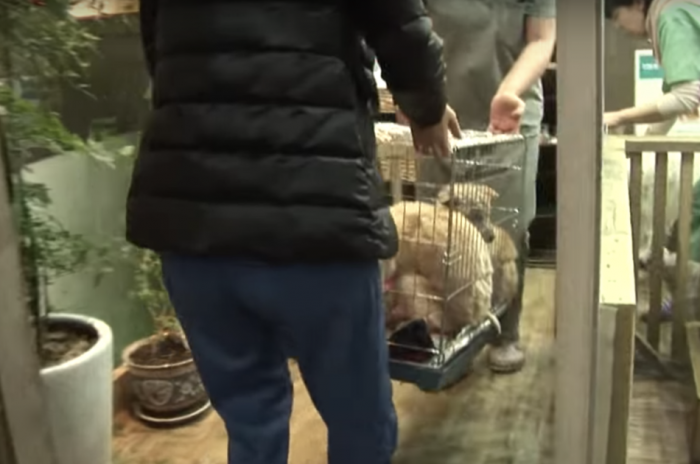 It is refreshing to know that these two are getting the help they need, though.