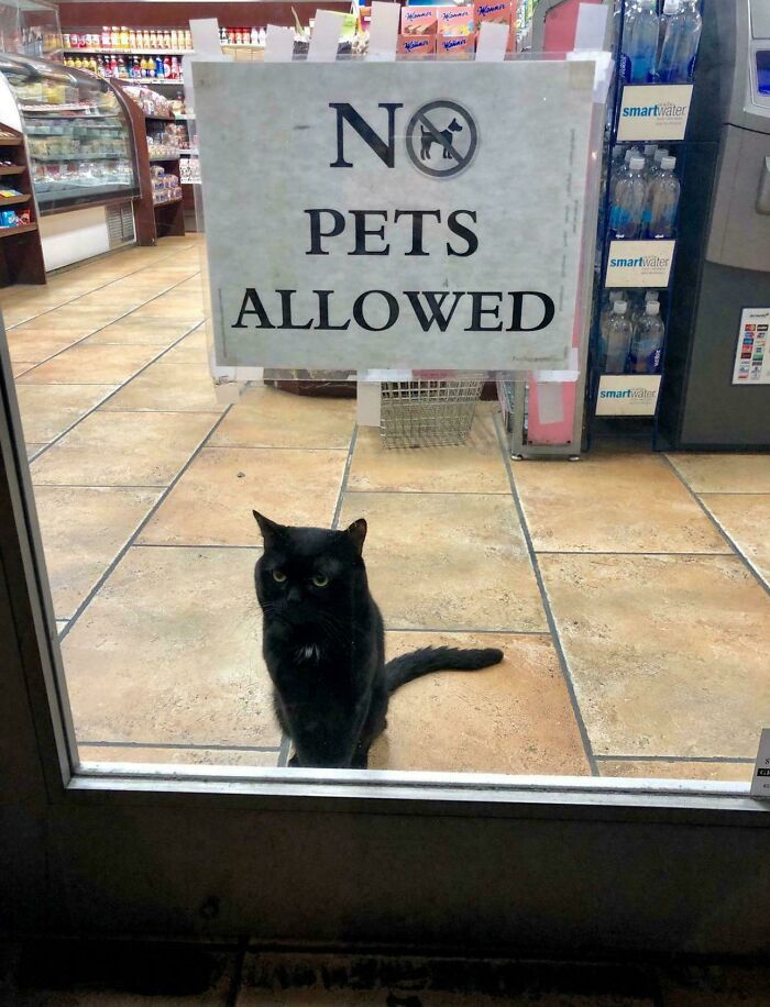 38. Denied entry but plotting corporate takeover.