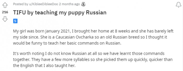 One woman recently shared a story in the TIFU (Think I F***ed Up) subreddit about how she regrets teaching her dog Russian because she is worried she may offend the Ukrainians in her local area.