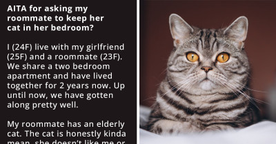 Redditors Are Mad At OP For Asking Roommate To Keep Her Elderly Cat In Her Bedroom