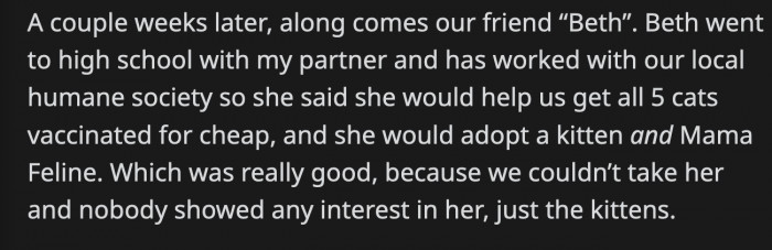 Then after that encounter they met their high school friend "Beth" who was also interested in adopting