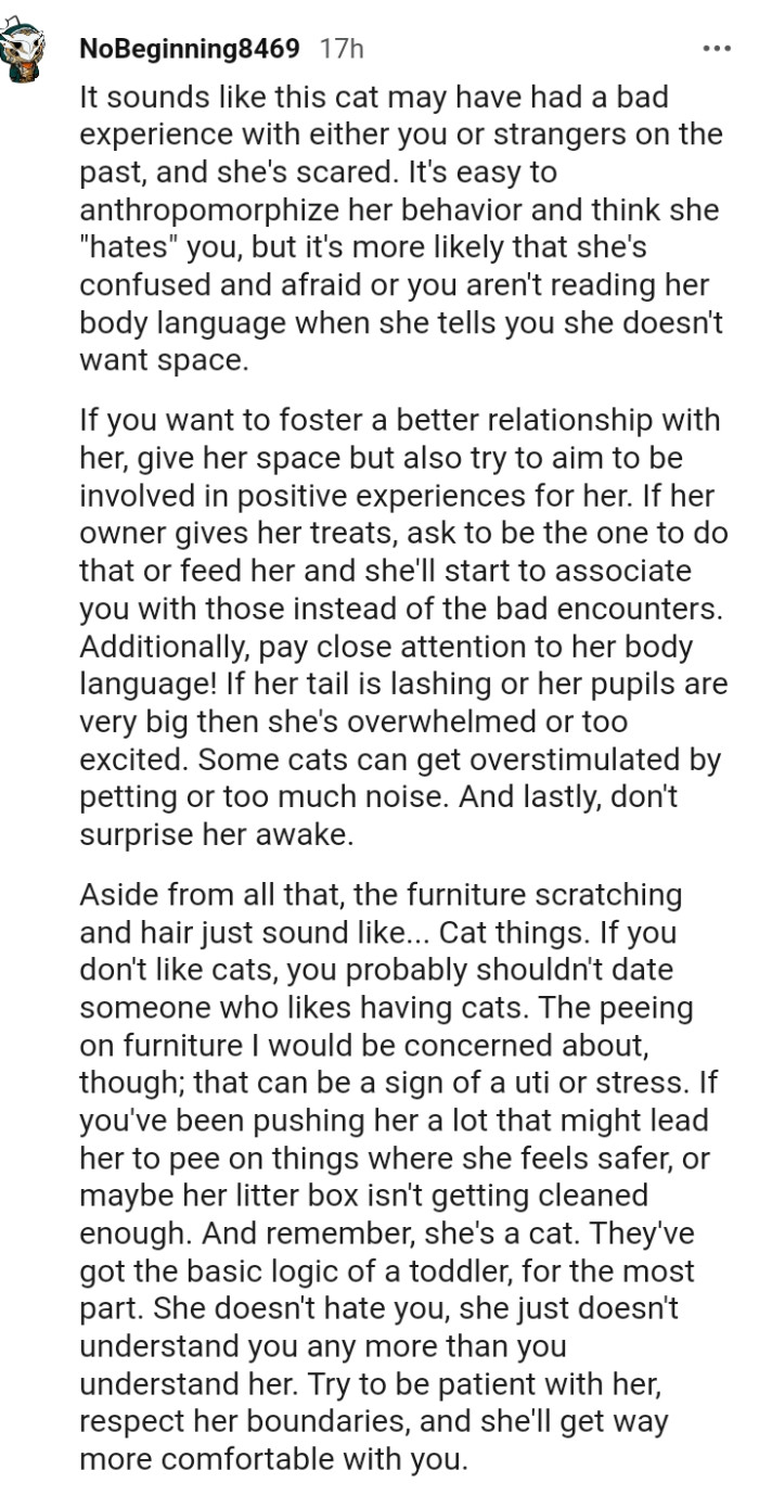 This Redditor really prepared well before dishing out this lengthy but thoughtful advice to the OP