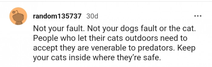 Not your fault or the cat's fault