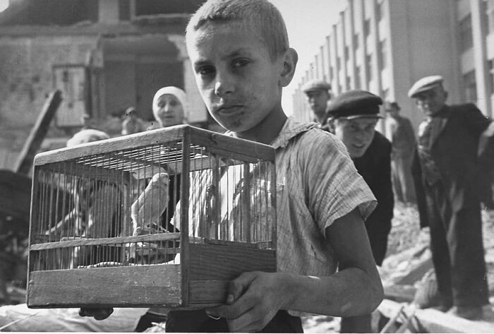 "A young boy rescuing his pet canary from the ruins of his home following a German air raid - Warsaw, September 1939."