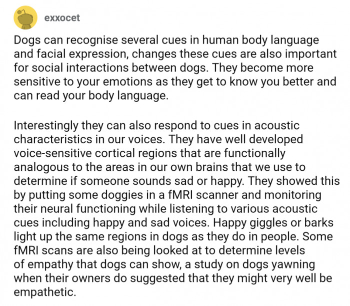 exxocet shares the science behind body language and vocal cues