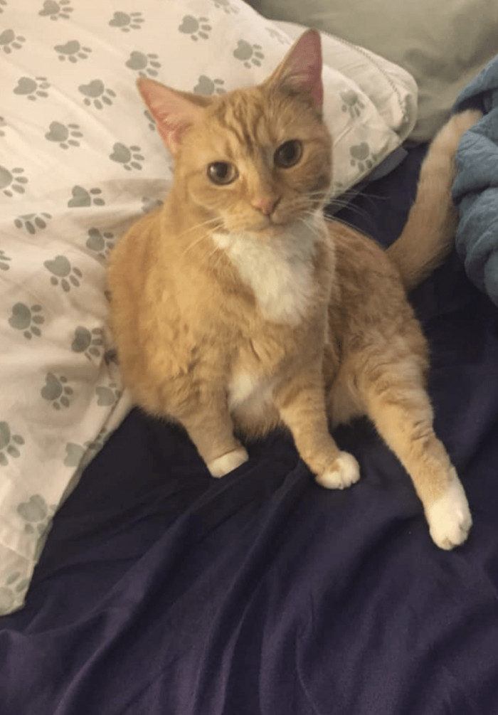 Here is the cute Milo