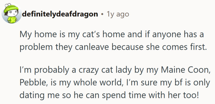 Cat people everywhere nodded in approval — the house belongs to the feline, humans are just tenants.