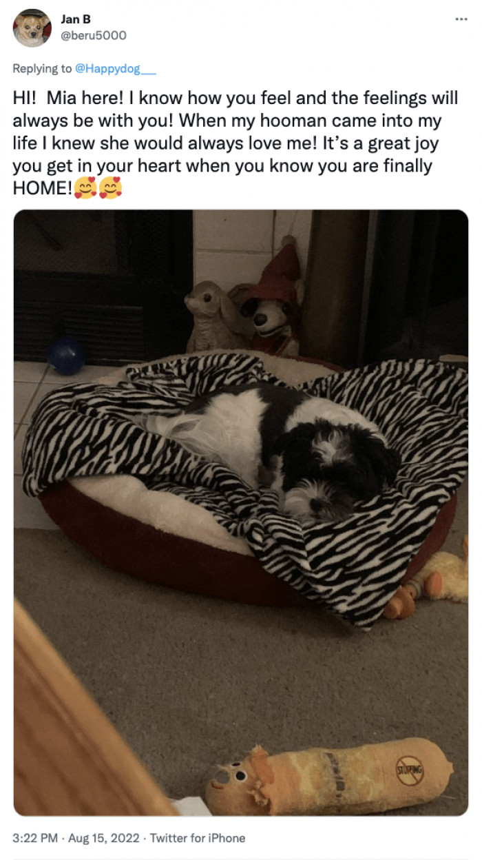 4. There's no better feeling in the world! Is anyone else bawling their eyes out?